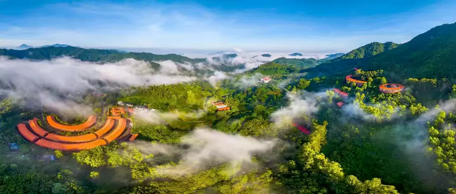 雁南飞茶田景区