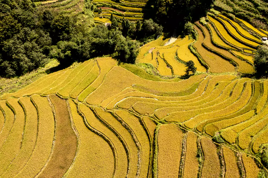 7-9 月,梯田则换上火热的绿装,深浅不一的稻浪顺着山势起伏 7-9 月,梯田则换上火热的绿装,深浅不一的稻浪顺着山势起伏