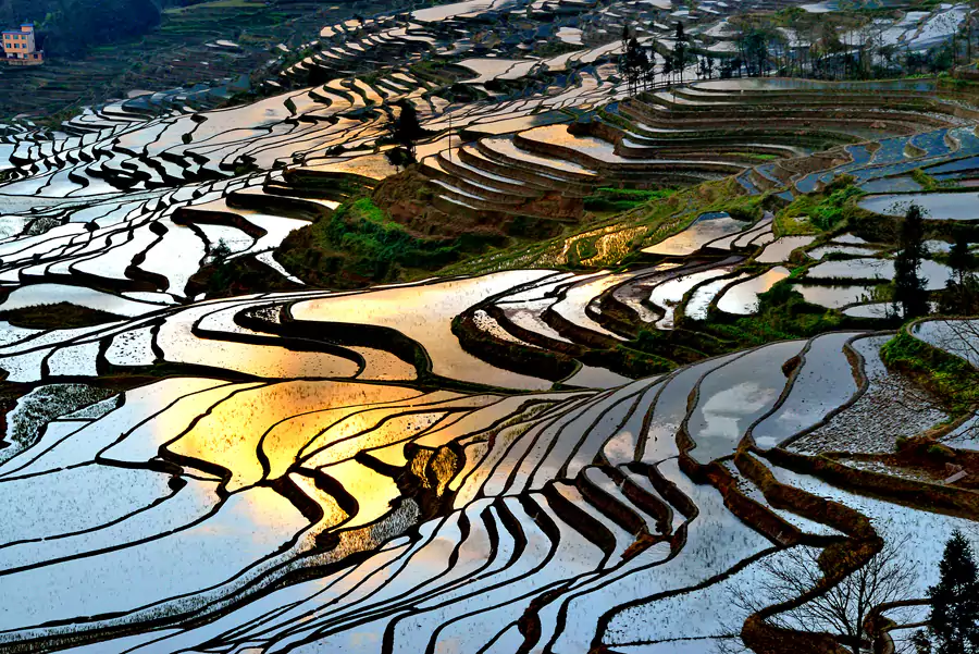 元阳梯田 元阳梯田