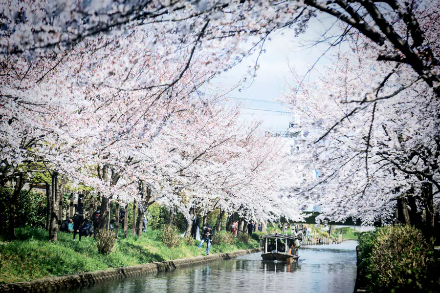 伏见十石舟 伏见十石舟