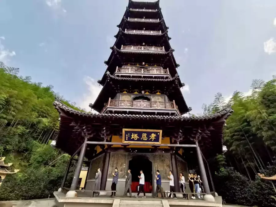 竹海行禅 竹海行禅