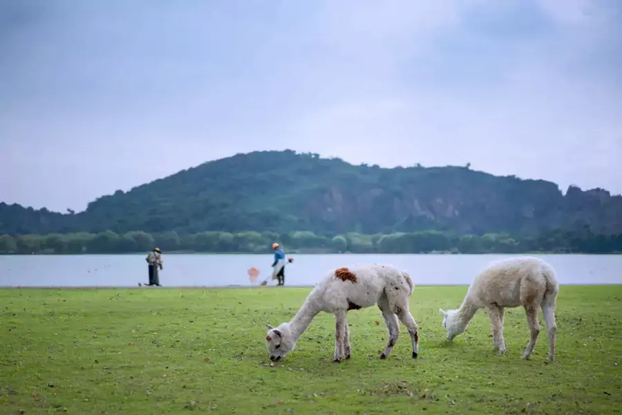 在这里的时光,是慢下来的诗意 在这里的时光,是慢下来的诗意