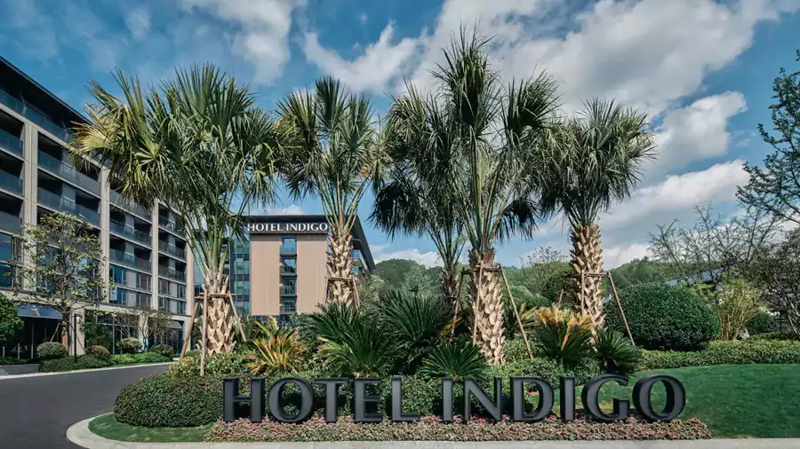 住进天目山英迪格,就是把家搬到了森林里 住进天目山英迪格,就是把家搬到了森林里