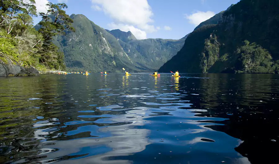 米尔福德峡湾 米尔福德峡湾