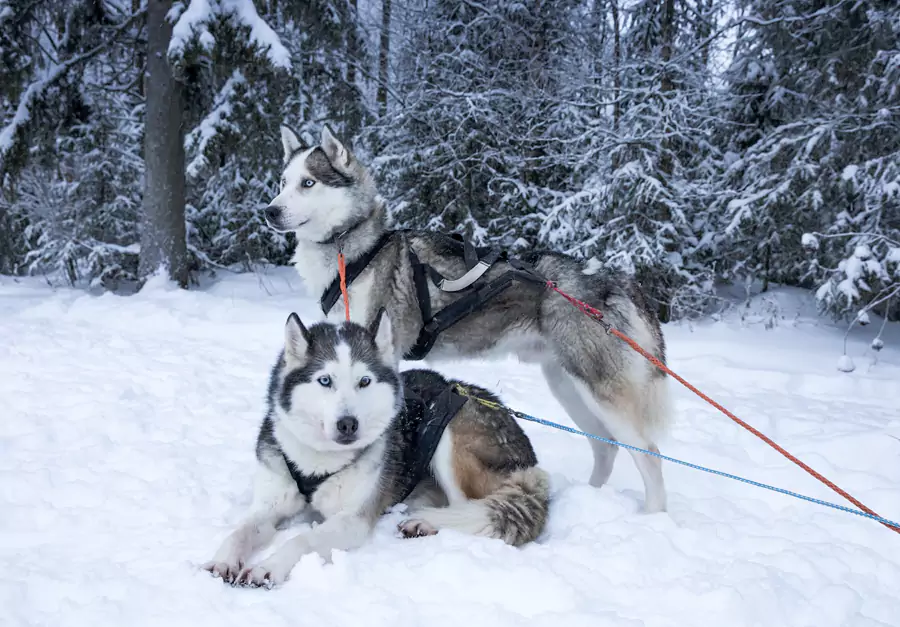 仿佛进入了一个童话王国 仿佛进入了一个童话王国