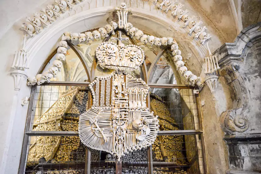 Schwarzenberg 家族的族徽 Schwarzenberg 家族的族徽