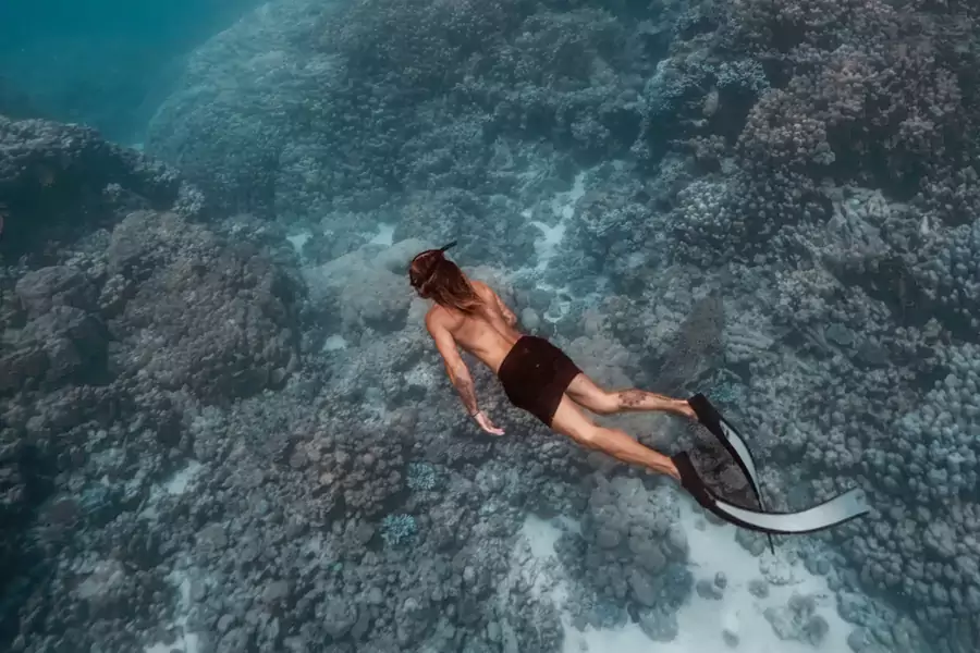 这片海域的珍贵之处,在于其拥有世界第四大堡礁系统 这片海域的珍贵之处,在于其拥有世界第四大堡礁系统