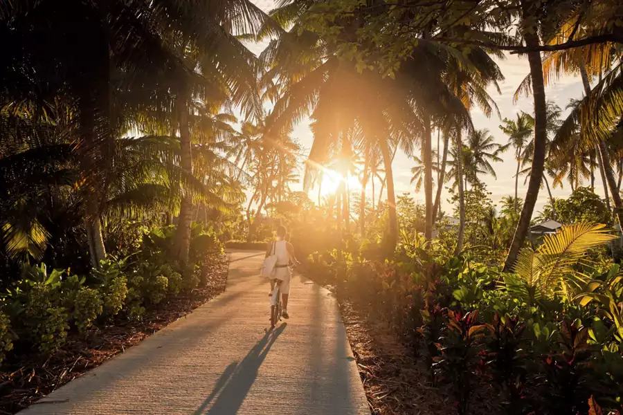 海岛还是异鸟与座头鲸的栖息地