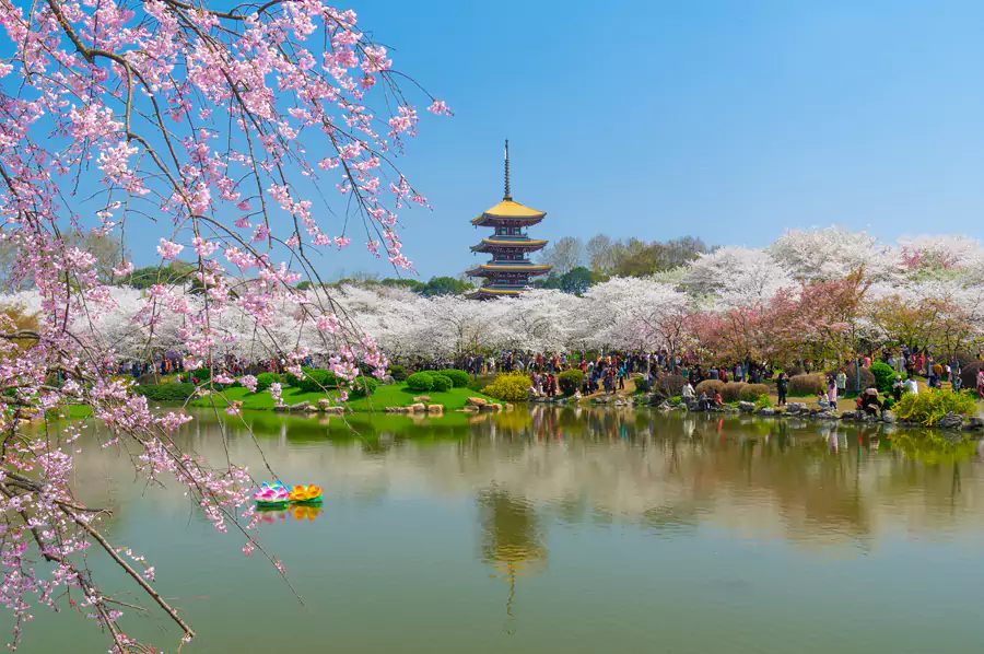 武汉东湖 武汉东湖