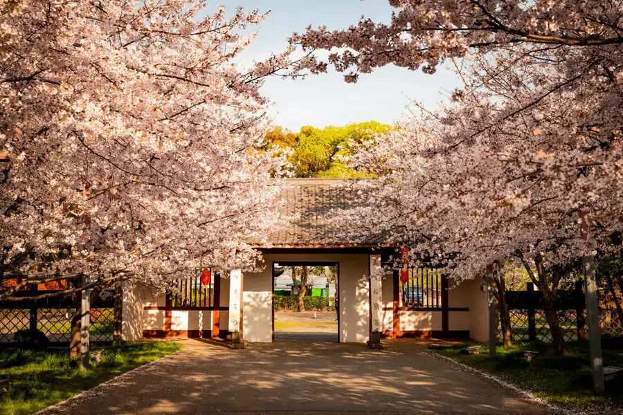 吃饱喝足，便可轻松玩转景区