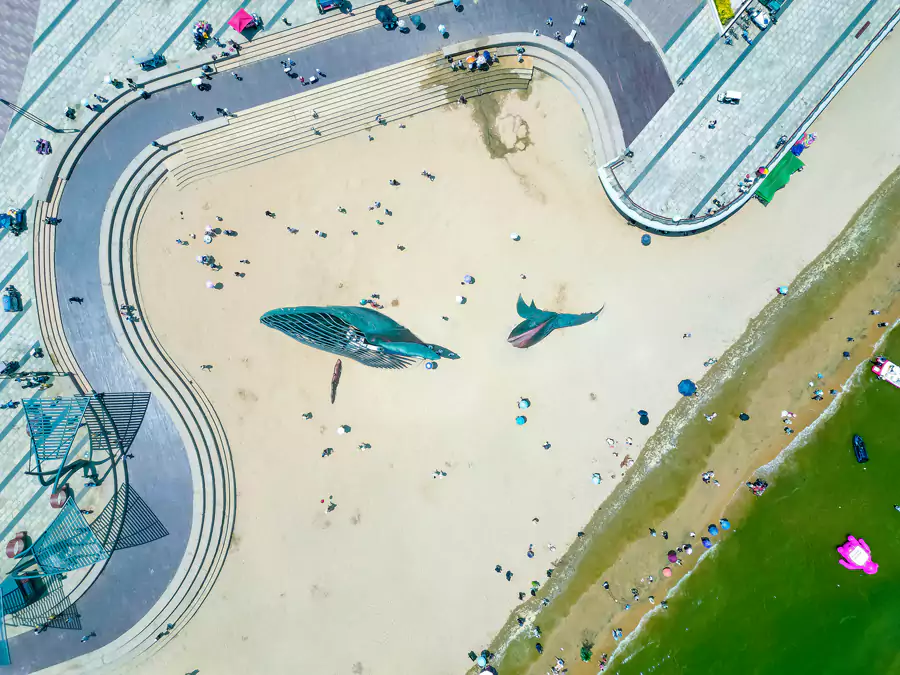 金沙滩海滨公园 金沙滩海滨公园